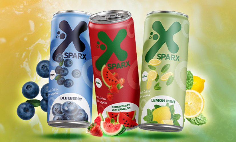 SparX branding