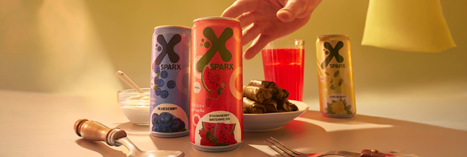 SparX flavours